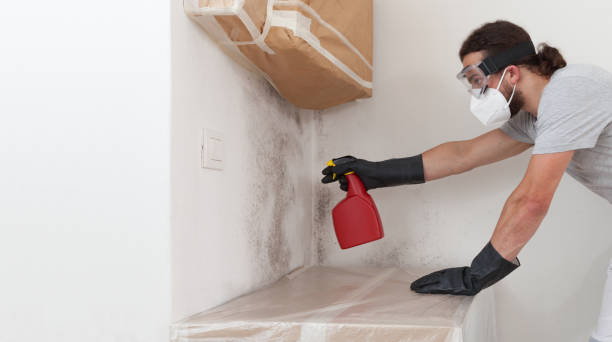 Professional Mold Removal technician working in Roosevelt, NJ