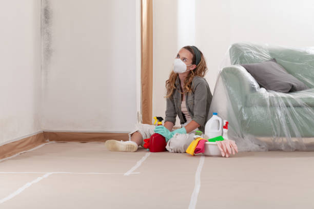 Reliable Mold Removal contractor in Roosevelt, NJ by 24 Hour Mold Removal